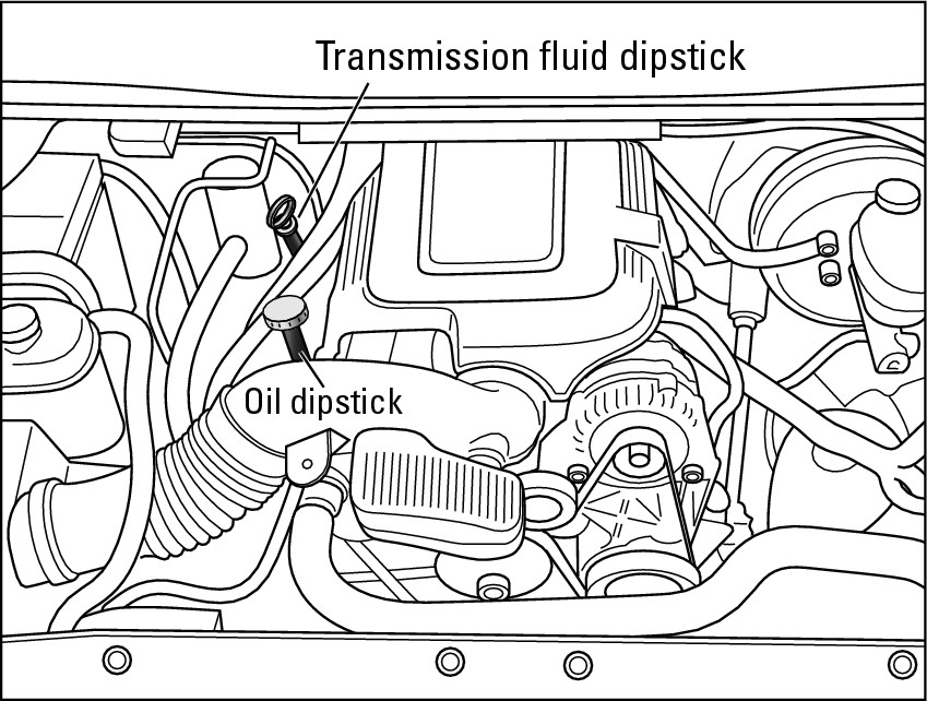 Figure 2-8:  Where to find the oil dipstick and transmission dipstick on an in-line engine.